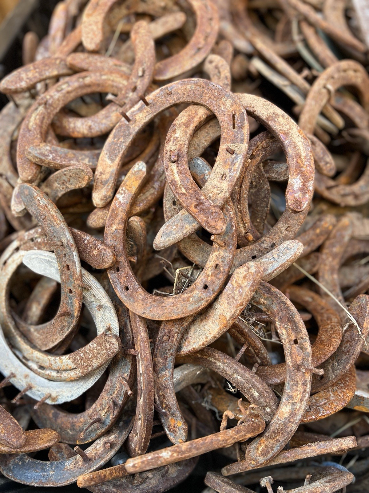 50 Used Steel Nevada Rusty Horseshoes W/Nails Lot Art Decor Rustic Western Weld