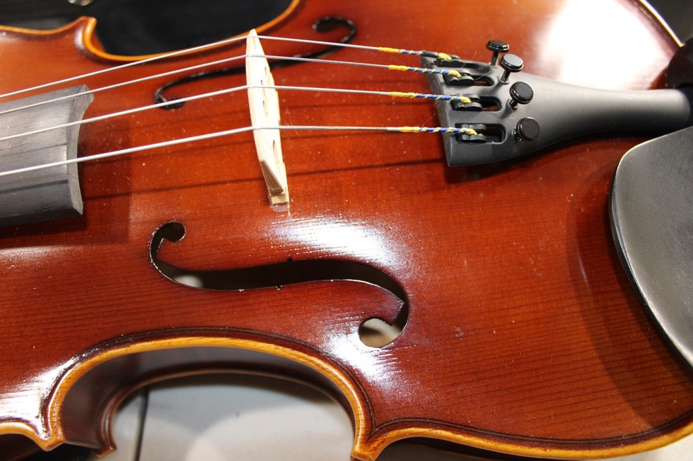 Franz Hoffman Etude Beginner Viola with Bow Case and Rosin