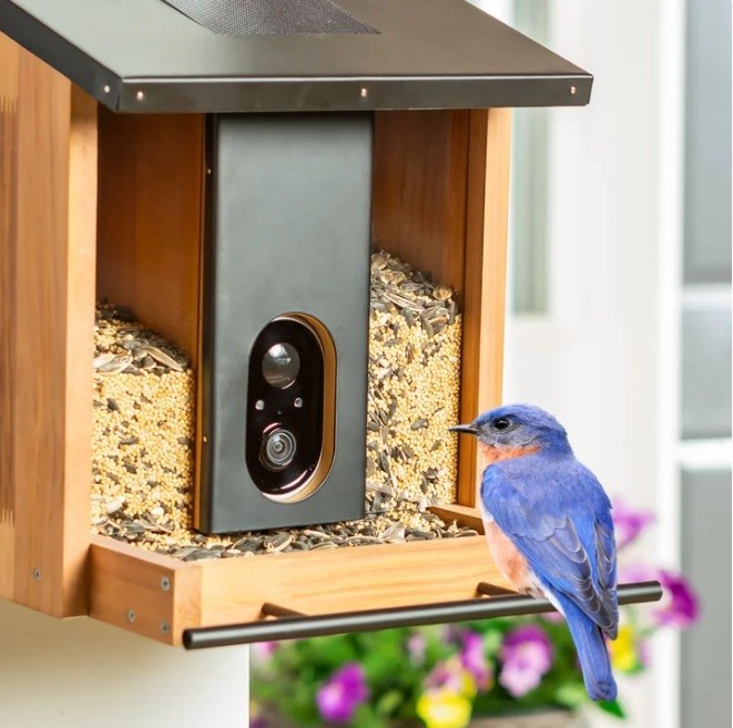 Bird Feeder with Solar Powered Wi-Fi Camera