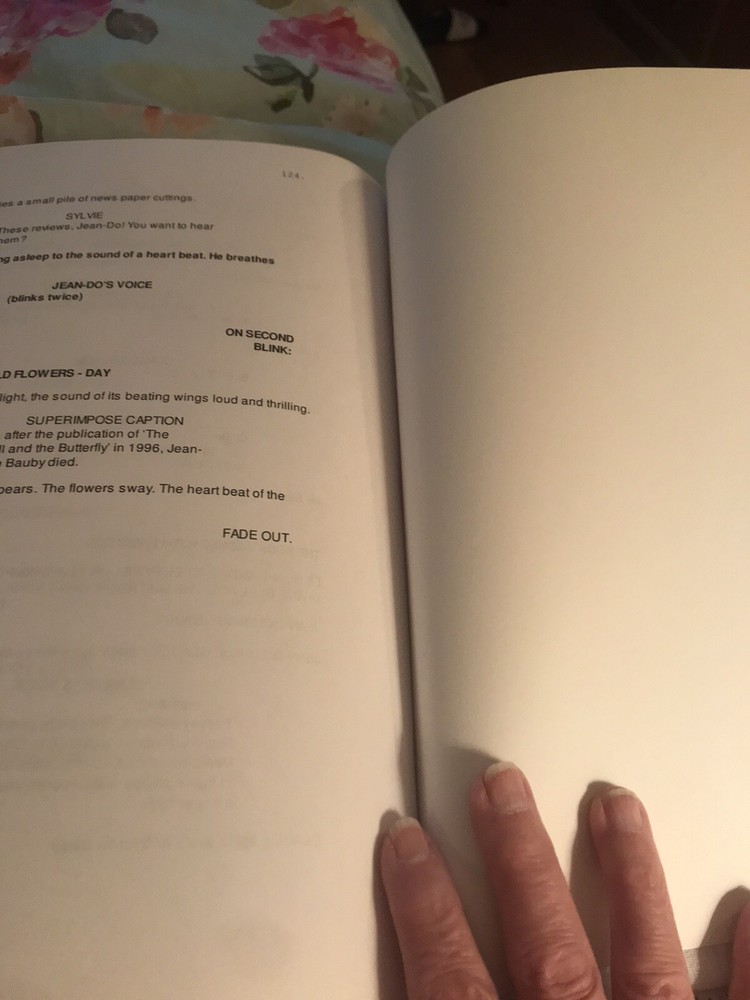 The Diving Bell and The Butterfly screenplay/ script