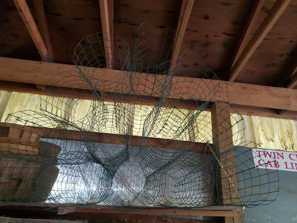 17 Round coated wire plant cages