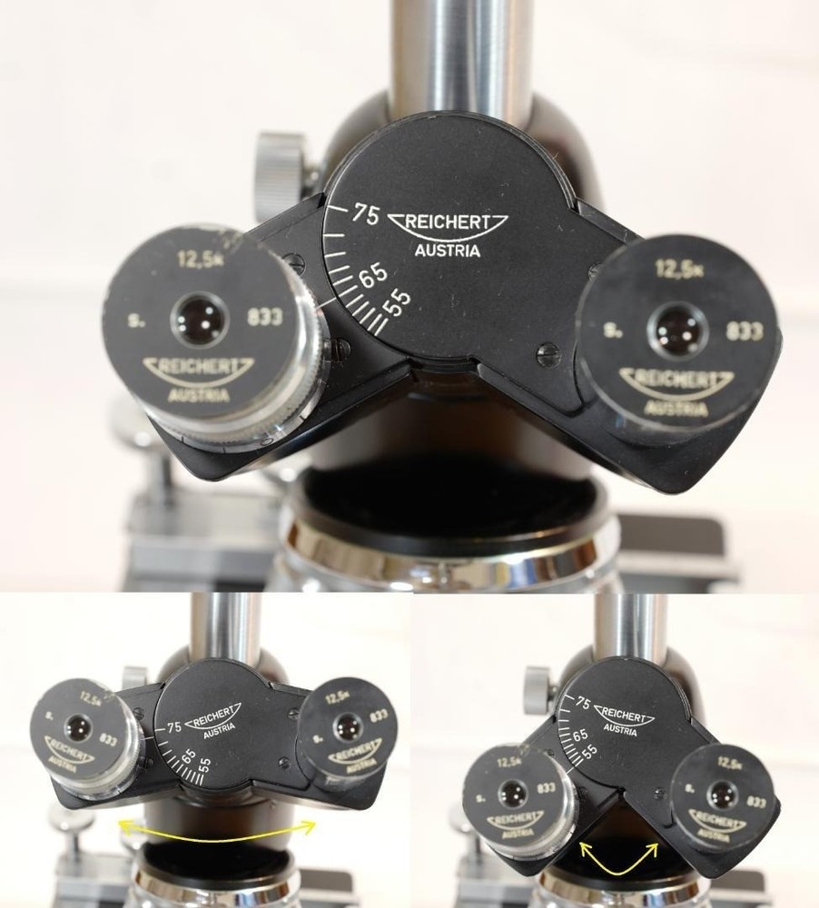 Carl Reichert's phase contrast microscope (BIOZET)