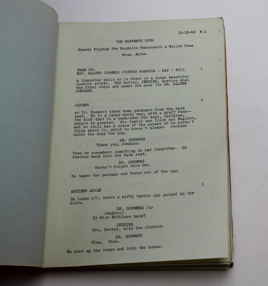 THE ELEVENTH HOUR 1962 Script Beauty Playing a Mandolin Underneath a Willow Tree