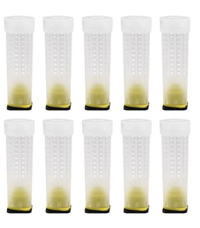 10Pcs Queen Bee Cage - CELL PROTECTOR ROLL - Protective Cover