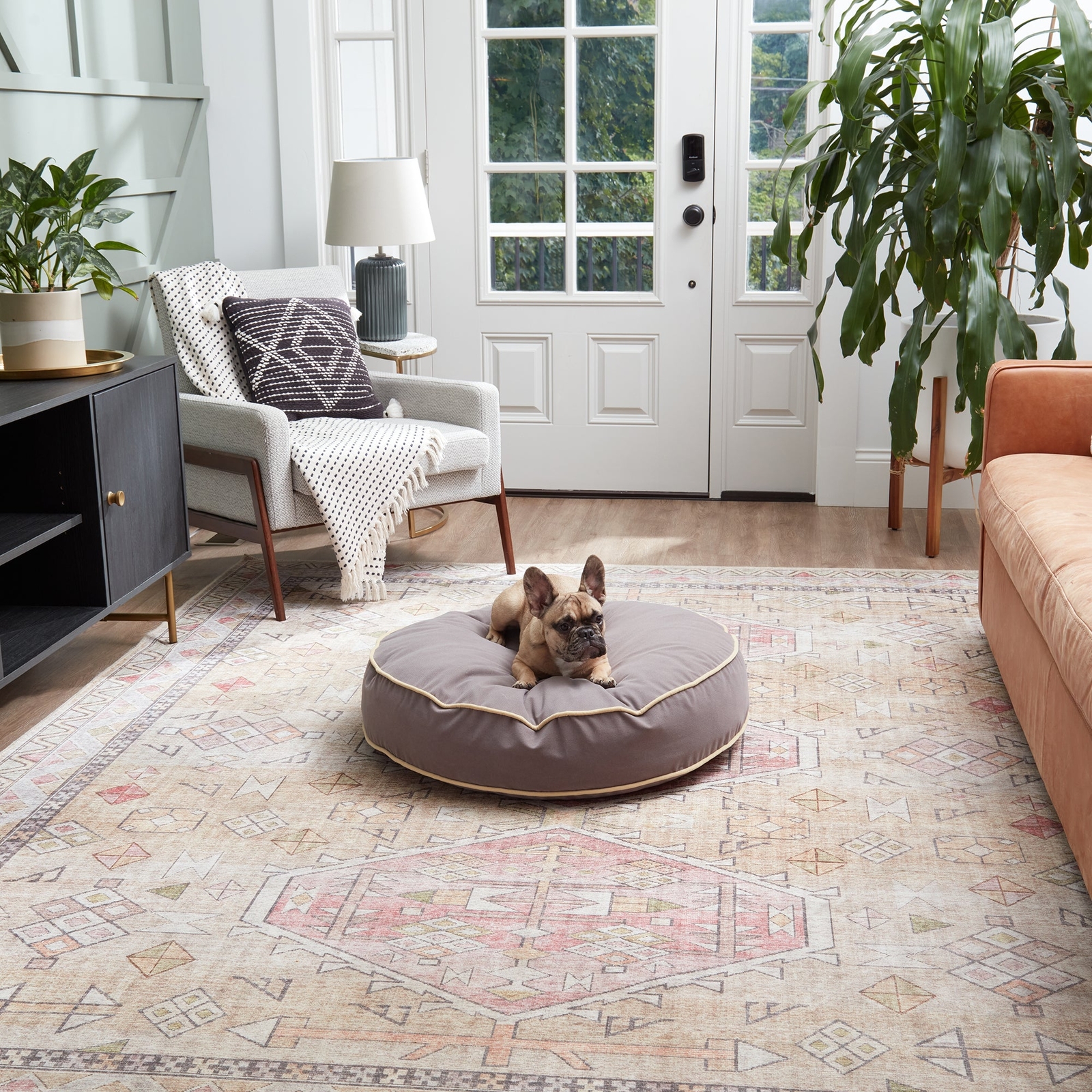 Scout Deluxe Round Microfiber Pillow Dog Bed