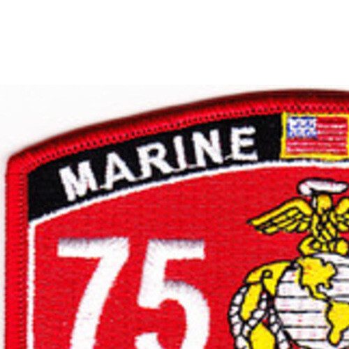 7562 CH-46 Pilot MOS Patch