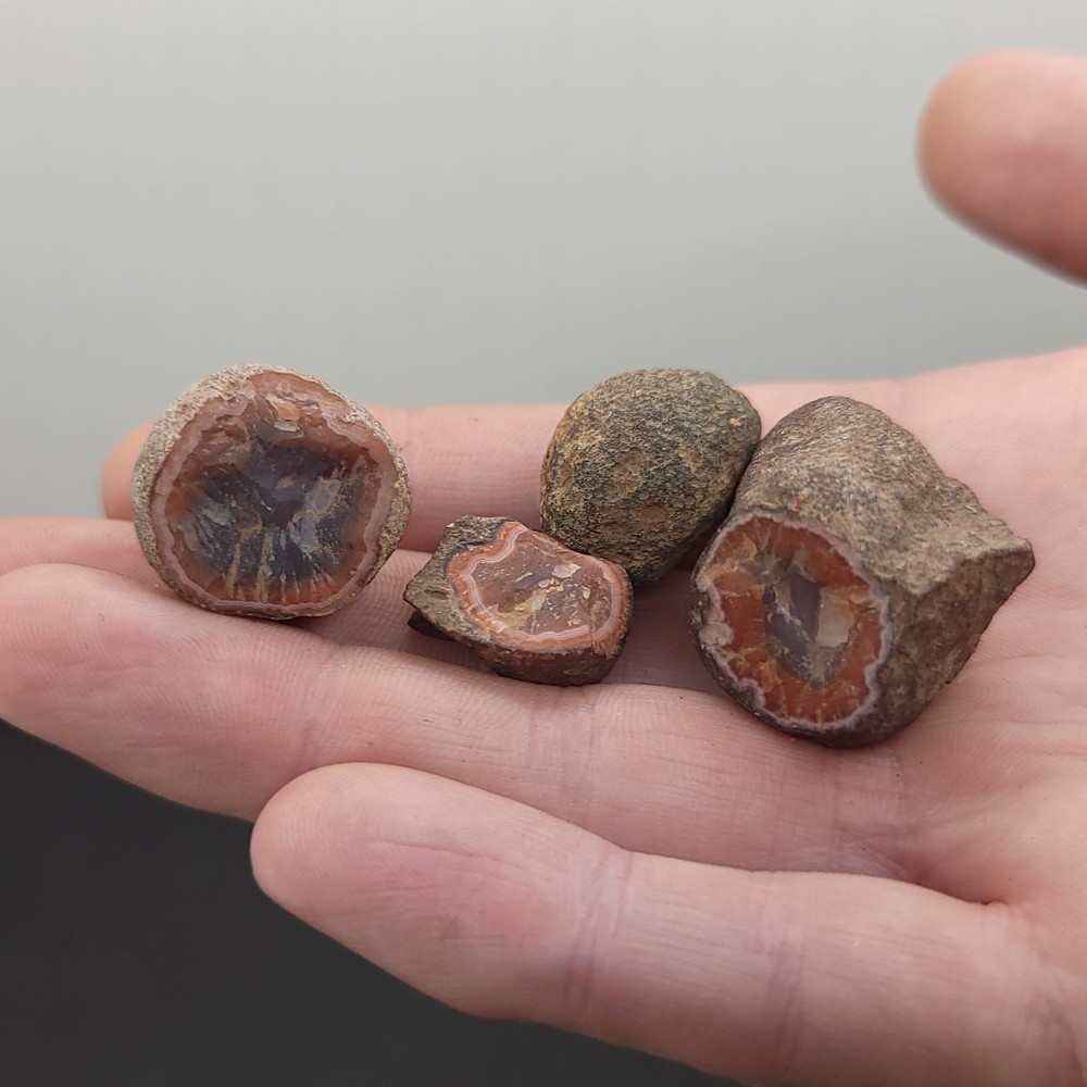 x4 Coyameto Agate