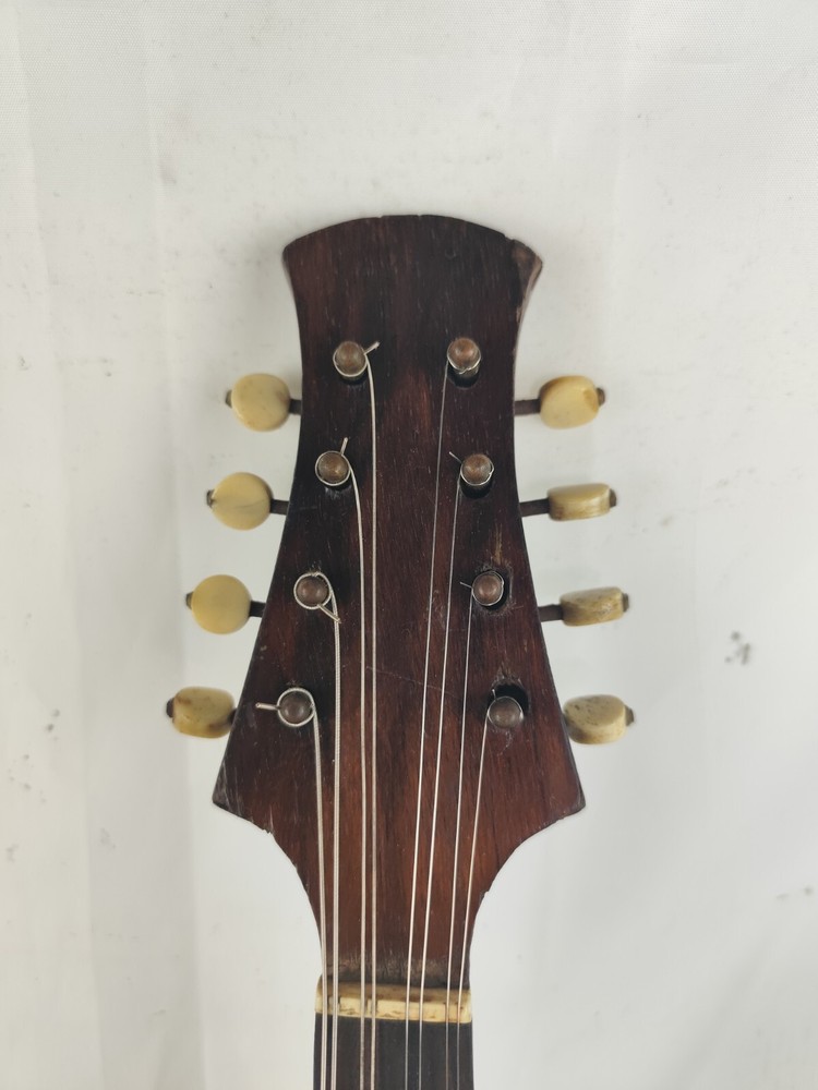 Mandolin 4/4 Francesco Solomone 1905 Naples 曼陀林 만돌린マンドリン