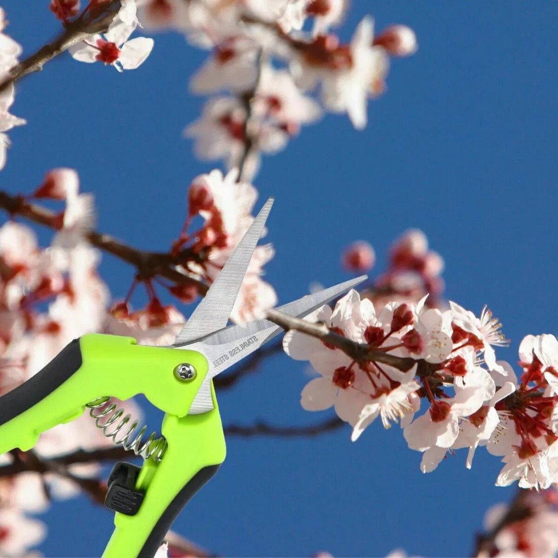 6 Pack Curved Blade Garden Scissors Trimmers Harvest Pruning Plants Trimming