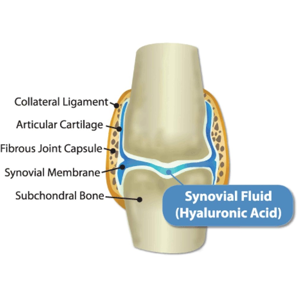 Hyalogic Hyaflex Canine Hip & Joint Formula, 1 Ounce