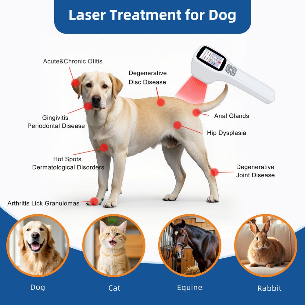 2.5W Therapeutic Laser Therapy for Back & Joint Pain Tendonitis NIR Light Device