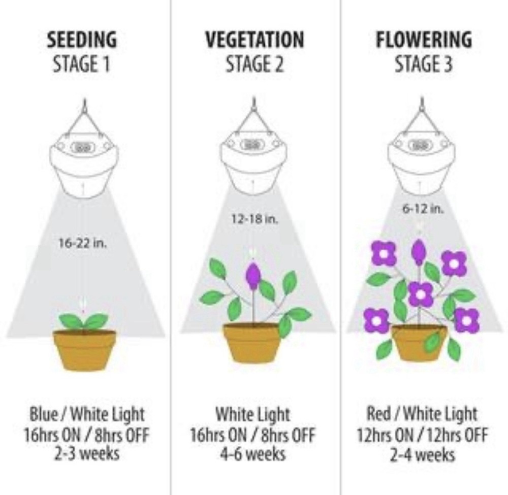 Feit Electric 2ft 24-Watt LED Grow Light, 3 Spectrum, Remote Control, Linkable