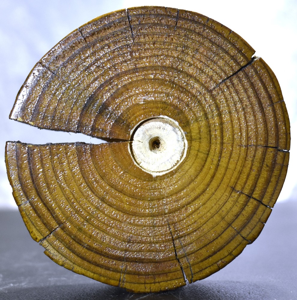 Rustic Wood Slab Sphere Stand 4"/76 Grams