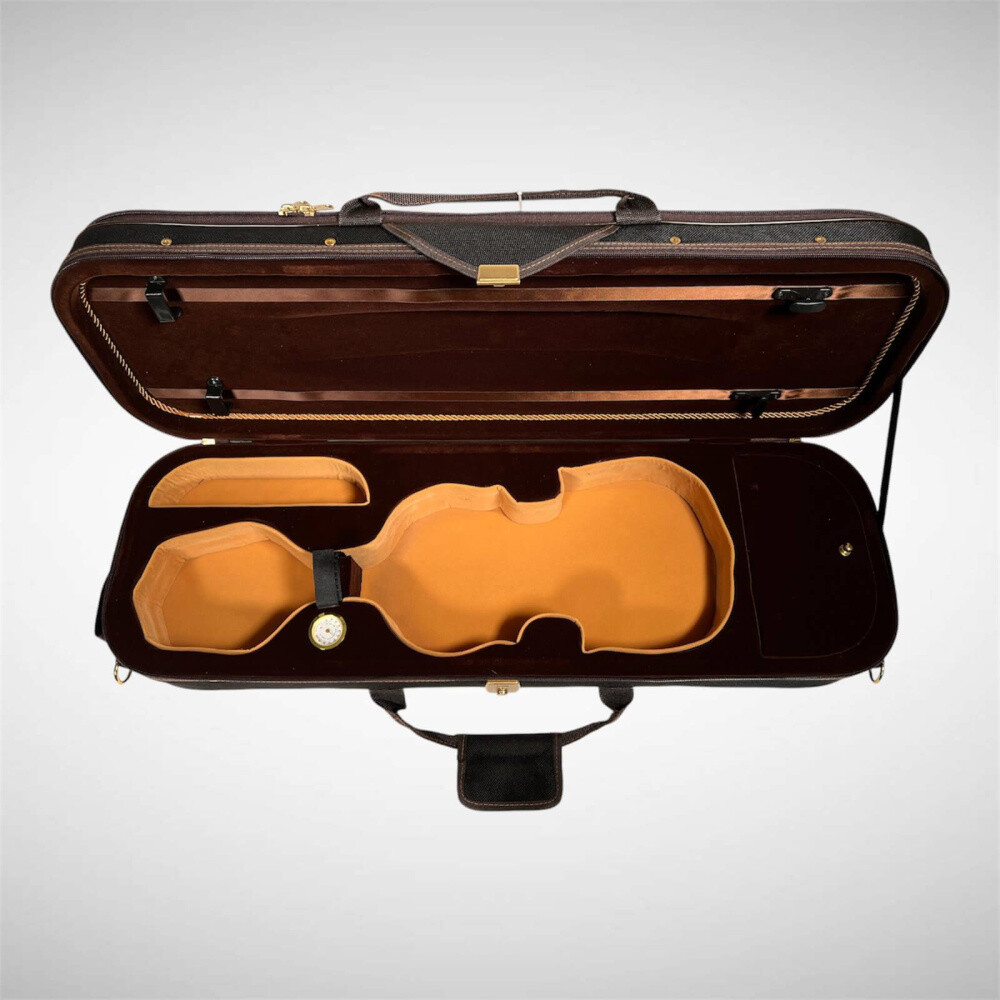 Petz 100VN case (case) for violin (violin)