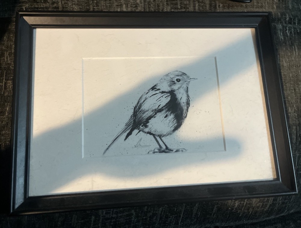 Original Robin Drawing A4 Mount Signed