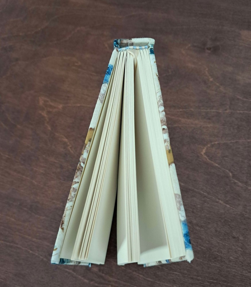 Painted Feather Blank Journal