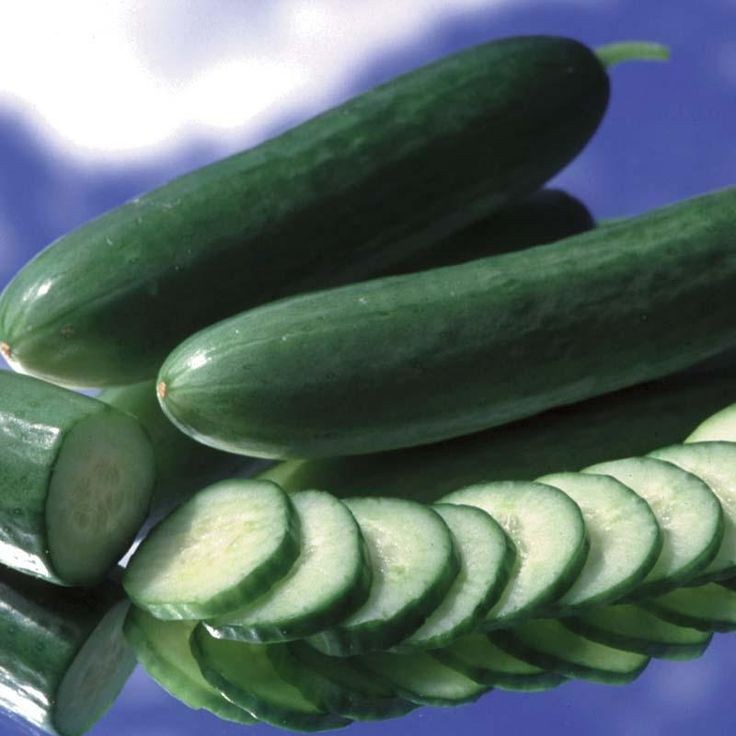 Diva Cucumber Seeds