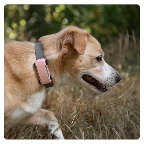 GPS Dog 6 Tracker Cover - Pink