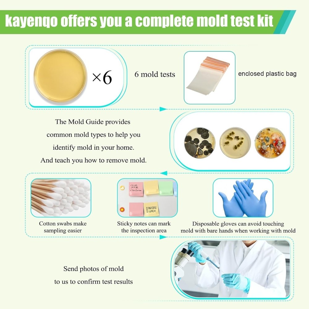 Comprehensive Mold Kit for Home - 6 Tests, Removal Guide & Accessories