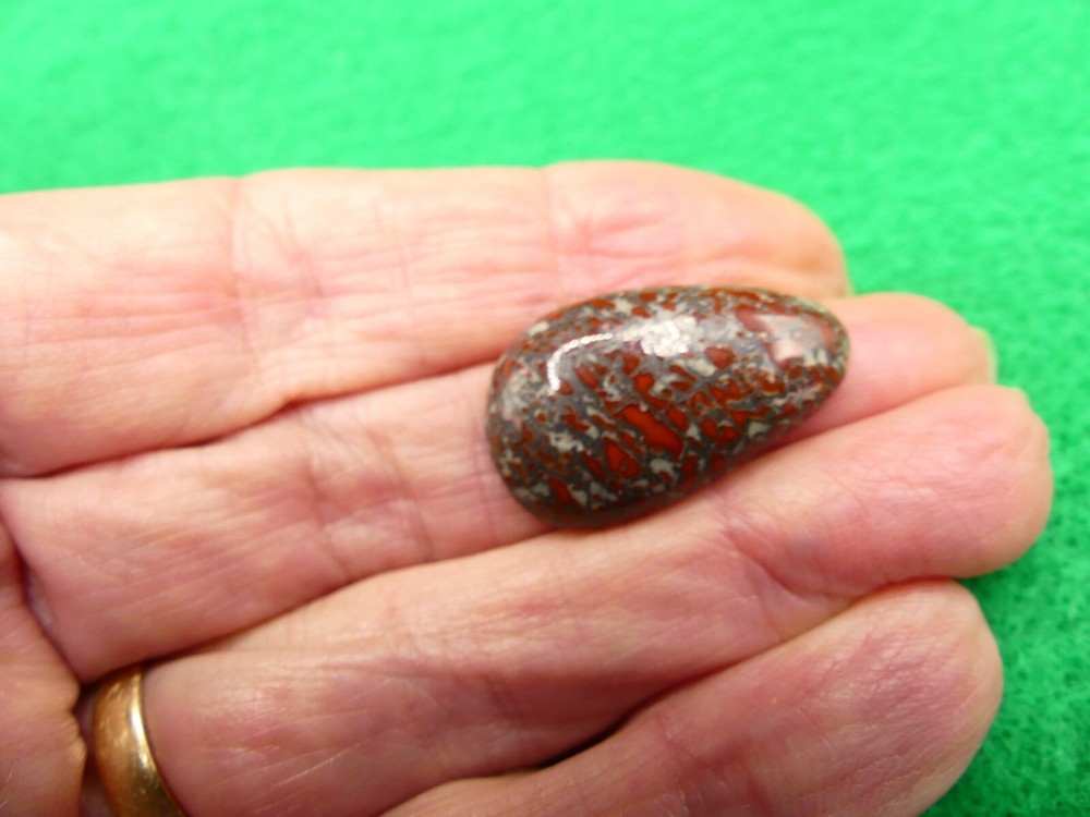 Beautiful Dinosaur Bone Cabochon* Pendant * 15 cts.