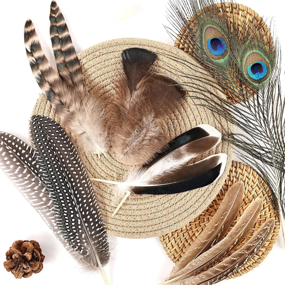 Natural Feathers Bulk - 55PCS - 6 Styles Assorted Natural Feathers, Peacock Feat