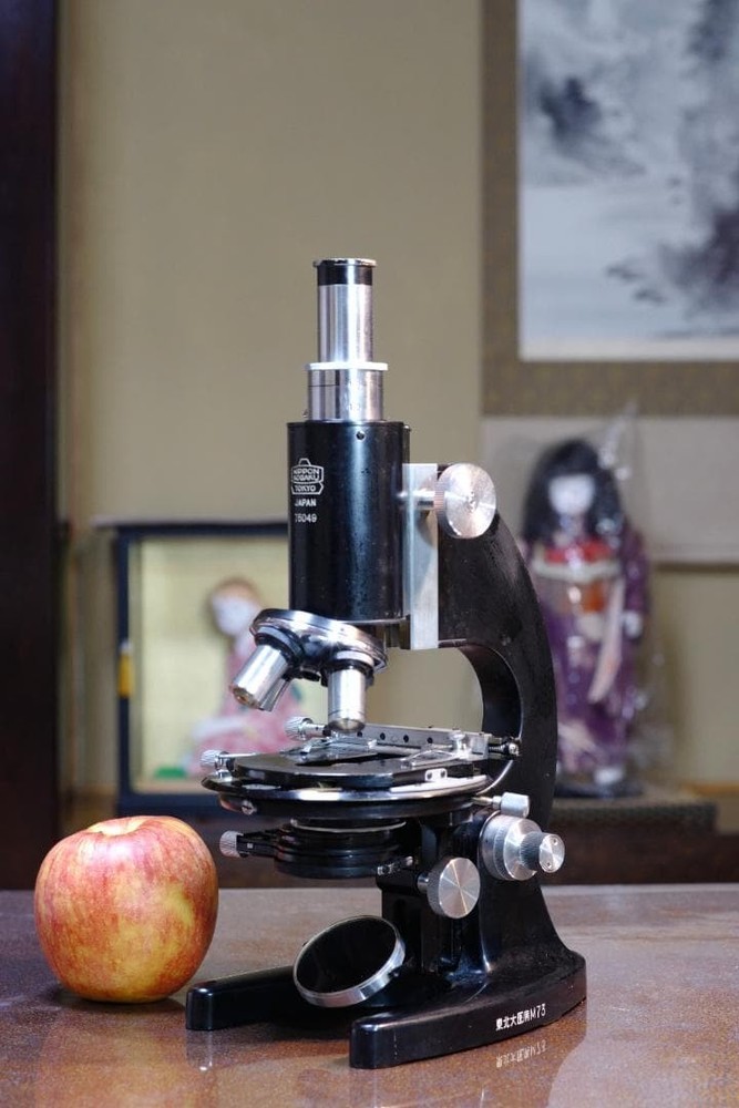 microscope antique Nikon microscopes from Nippon Kogaku Kogyo Co., Ltd.