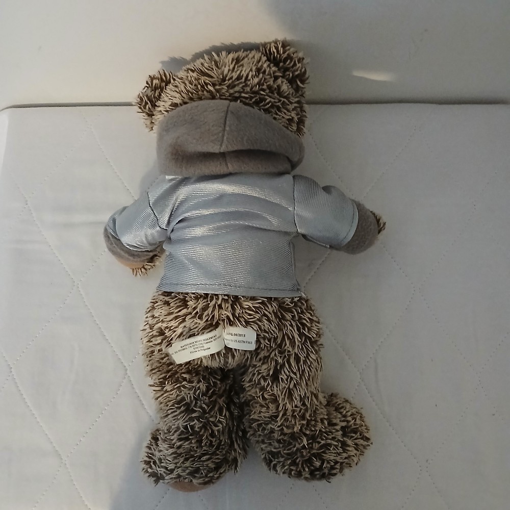 Hershey Park bear from 2015
