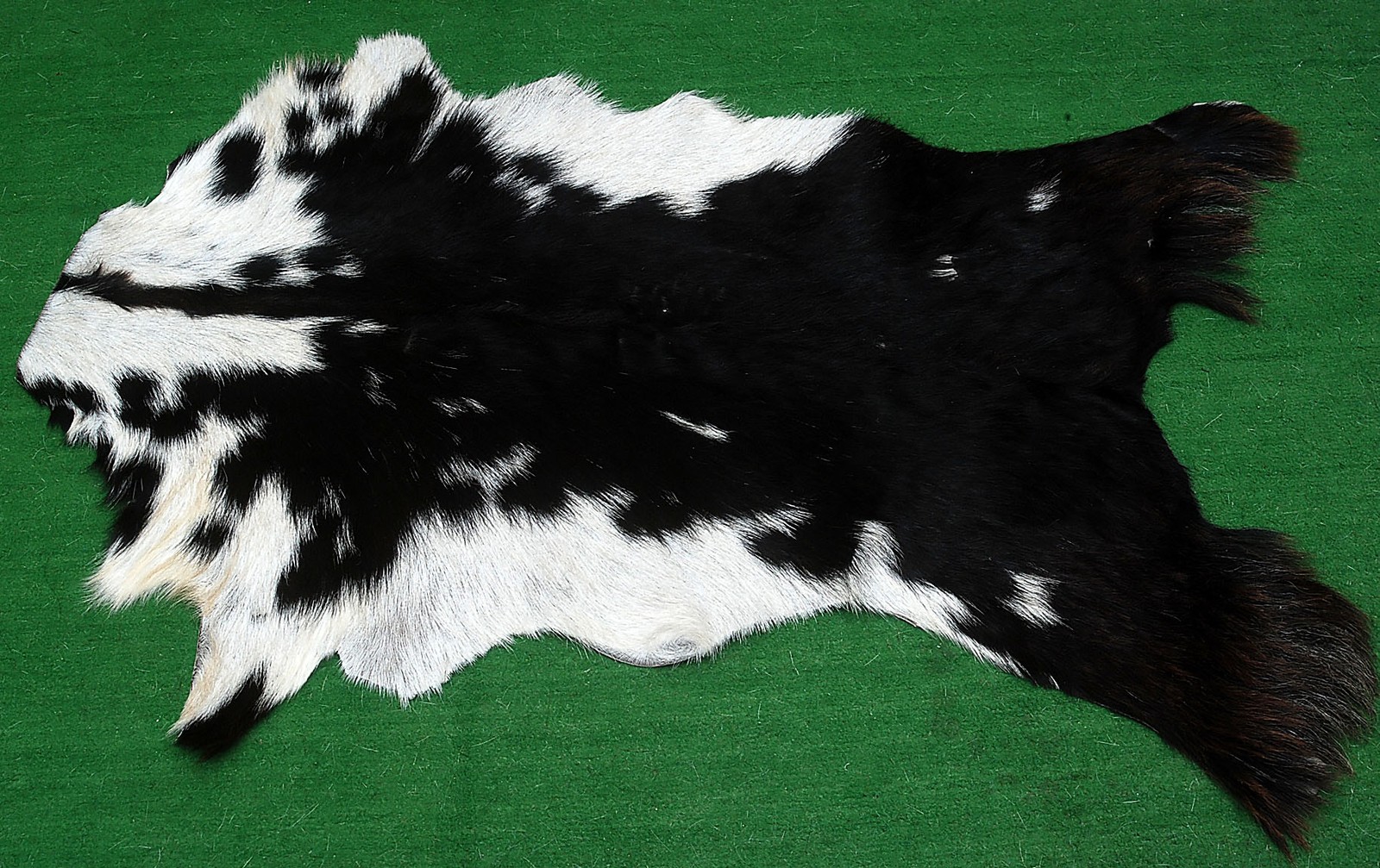 GOAT Western taxidermy Hide Rug Natural Pattern Fur Goat Hide Rode SA-5199