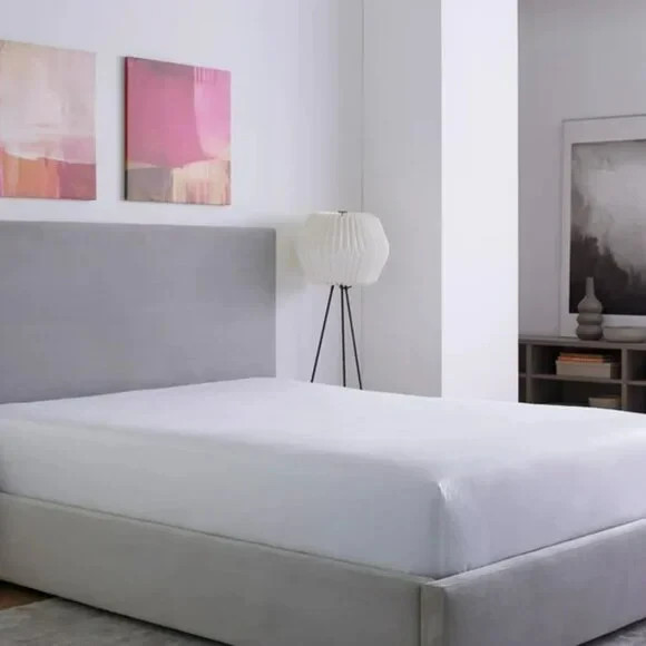 Premium Mattress Protection Size King