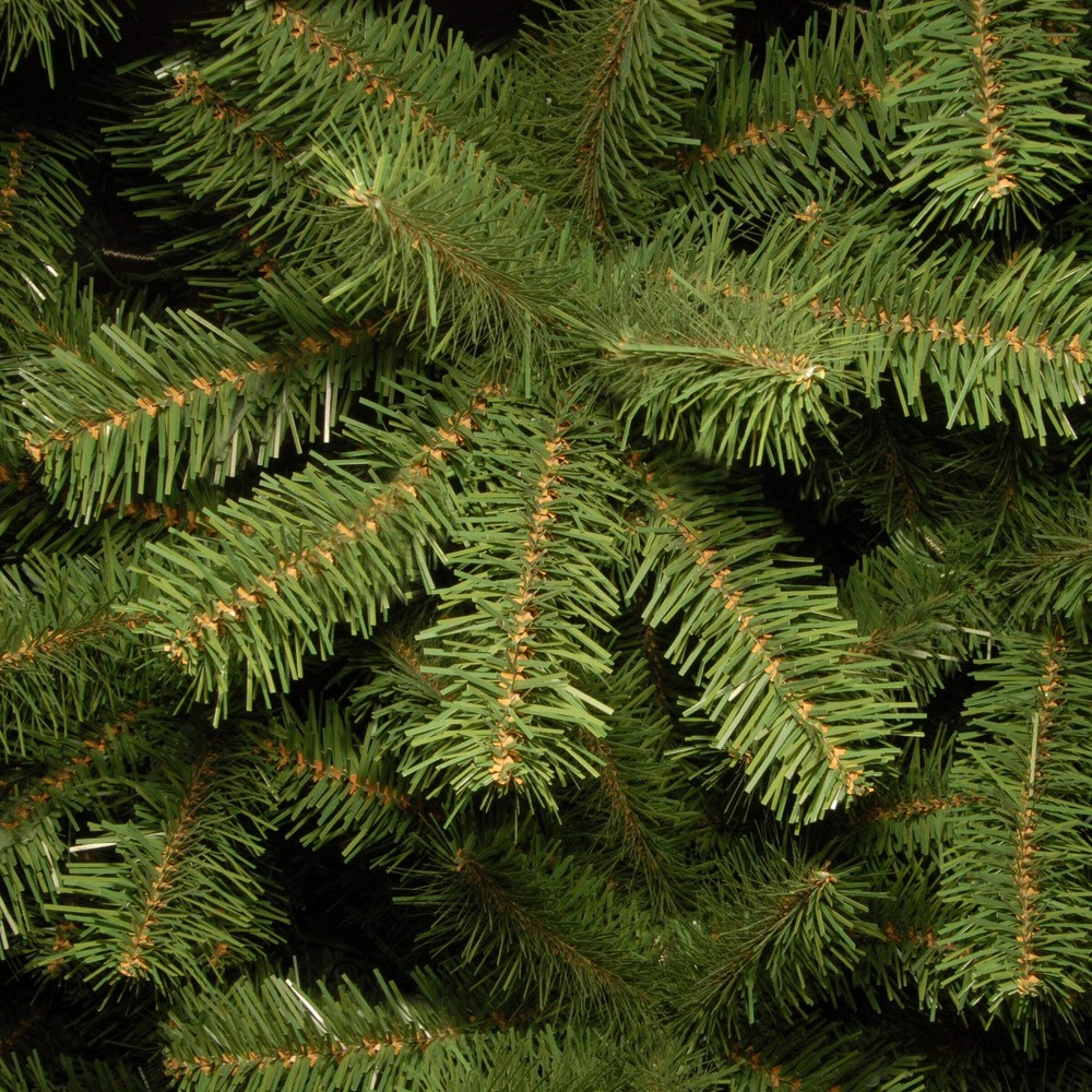 7 ft. North Valley Spruce Tree