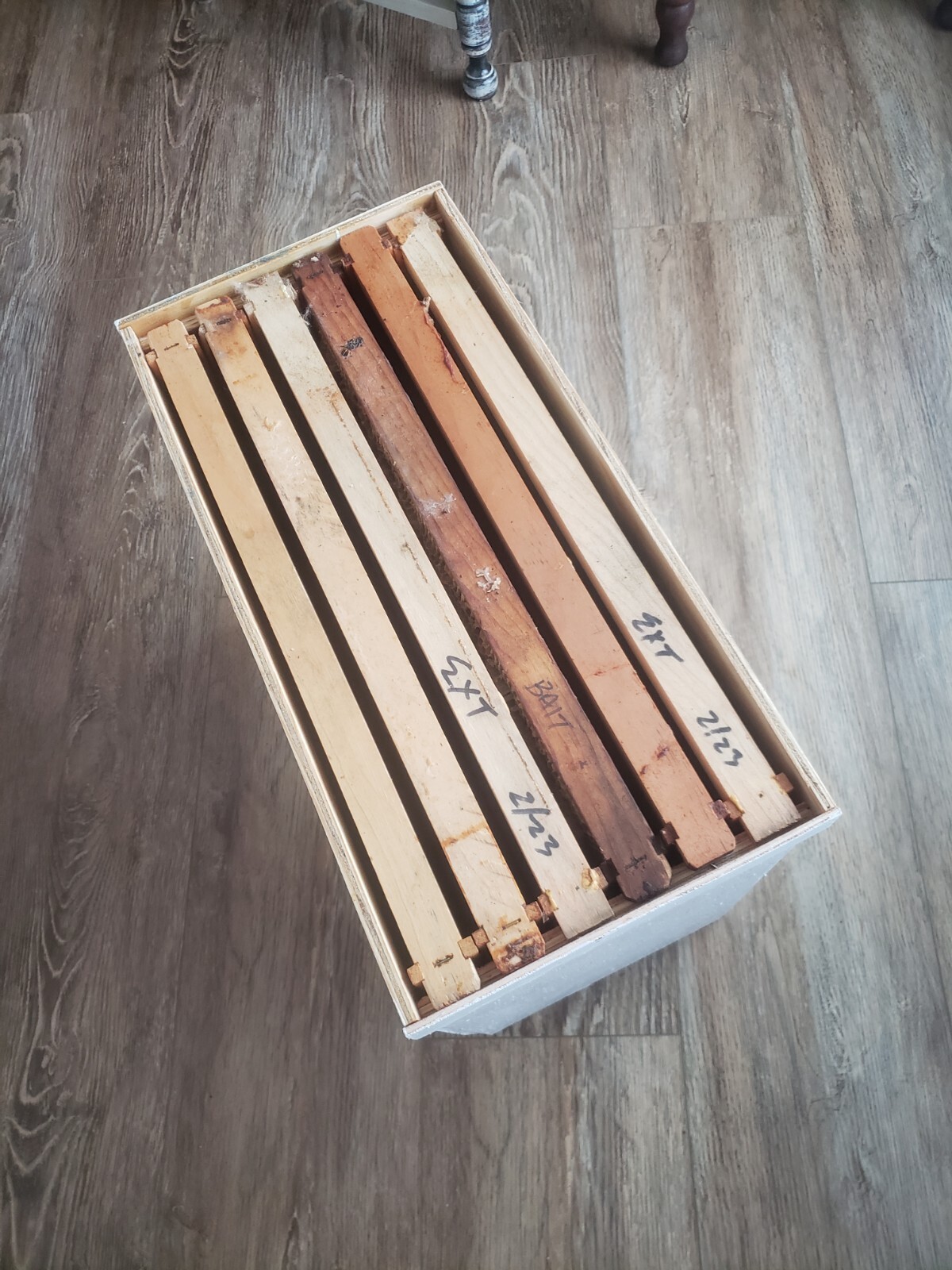 2 Honeybee Swarm Traps = CATCH Your Own FREE Bees!!