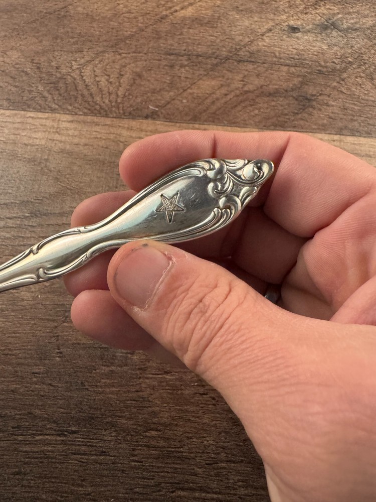 Wm A Rogers Silverplated Cake Pie Server Eastern Star