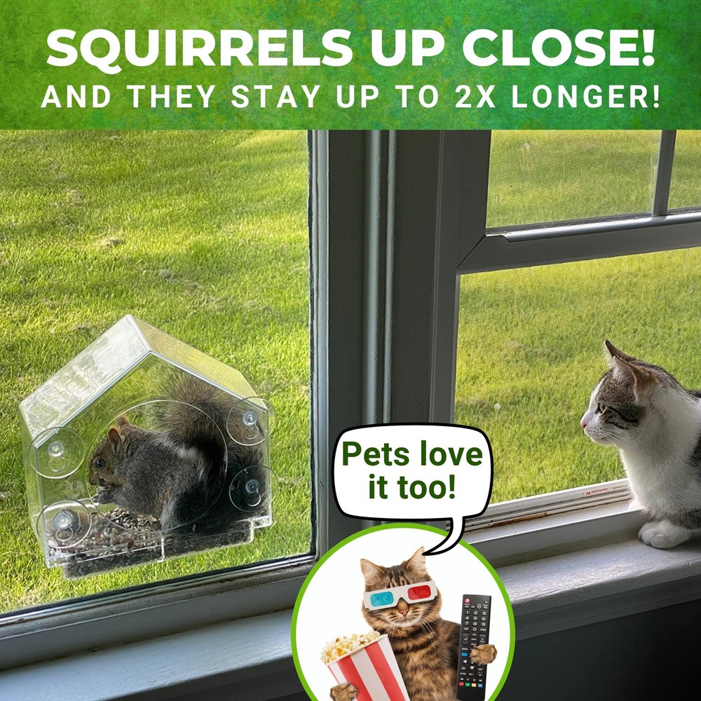 Window Squirrel Feeder - Funny Chipmunk Feeder - Easy Install - No Assembly
