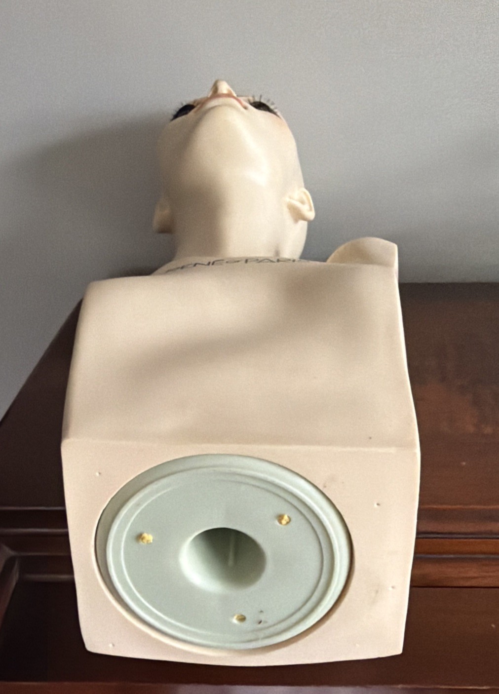 Vintage Rene of Paris Fiberglass Mannequin Head for Wigs Hats Cosmetology 20”