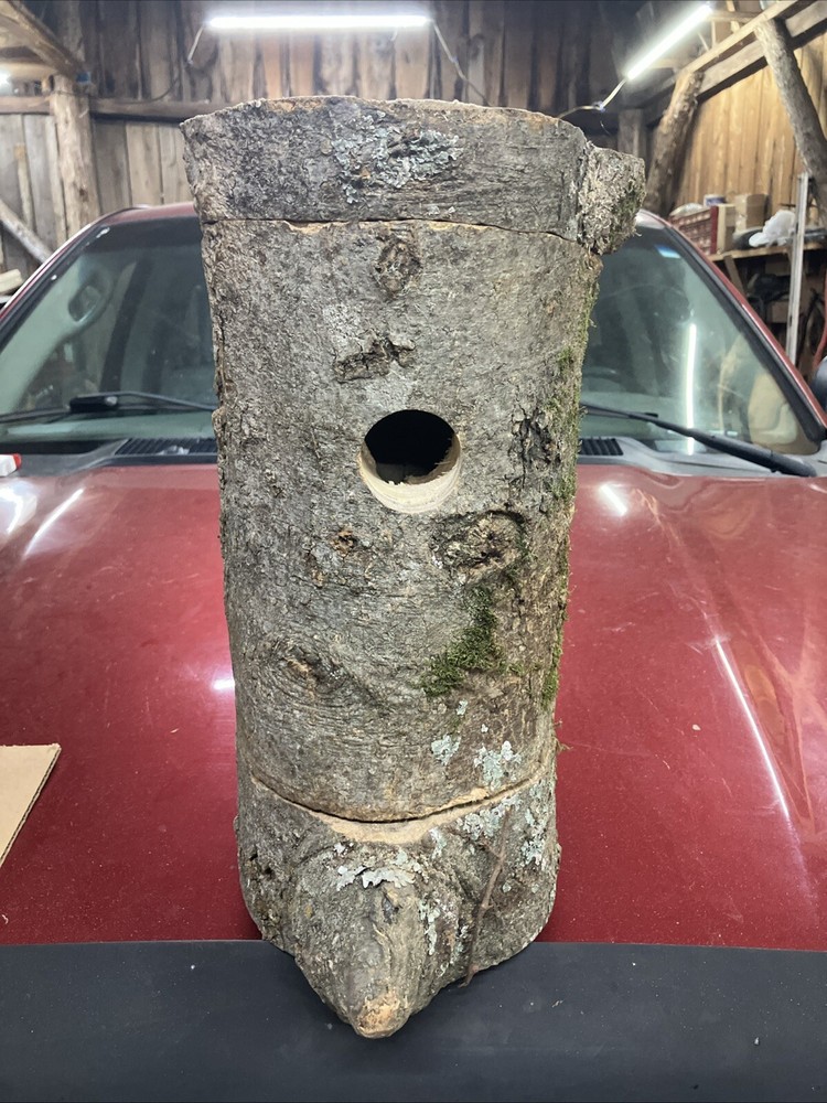 bird house