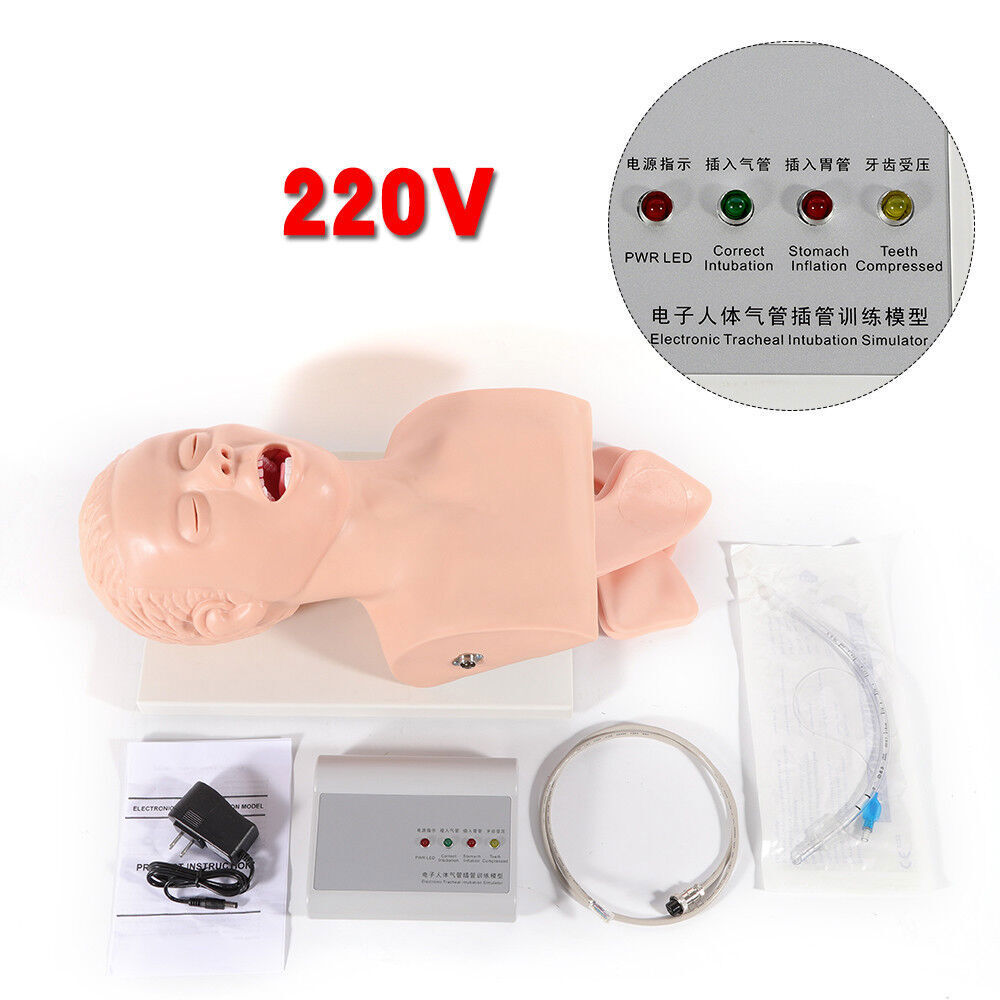 USA Adult Airway Management Trainer Lab Intubation Manikin Study Teaching Model