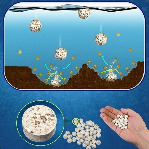 Shore-Tech Industries Lake Muck Reducer Tablets - Advanced Lake & Pond Probiotic