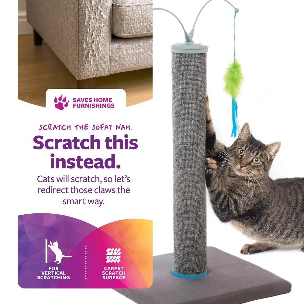 Interactive Spinning Wand Cat Toy with Scratch 'N Spin Carpet Scratching Post