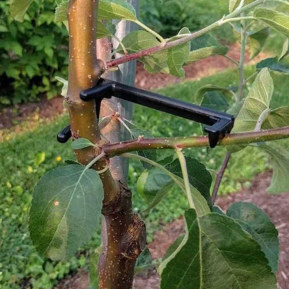 Fruit Tree Branch Spreader Forms 20Pcs Branch Limb Spreaders Stronger Branche...