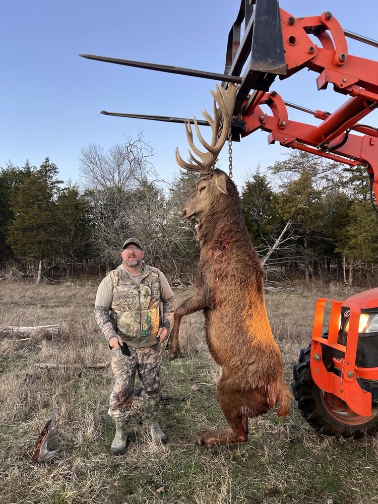 Fully Guided Red Stags Hunts In Oklahoma!