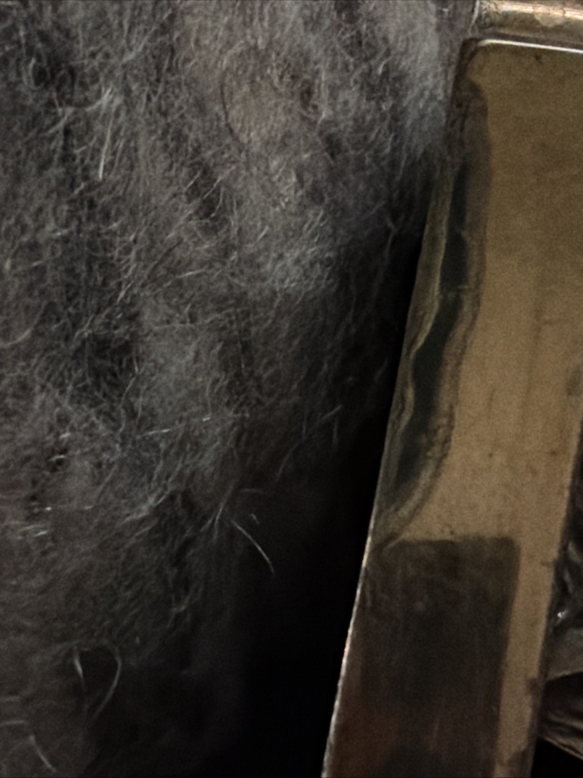 Antique Armor Bronze YePhilosopher Bookends 1920s Art Deco Scholar Library Pair