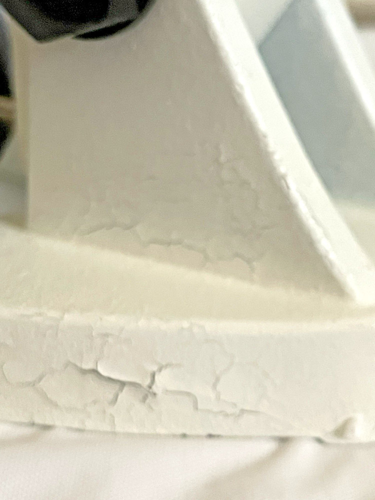 Radical Instruments Microscope RM-1B