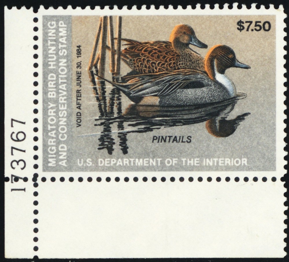 RW50, Mint NH $7.50 Duck With Large Color Shift Error - Stuart Katz