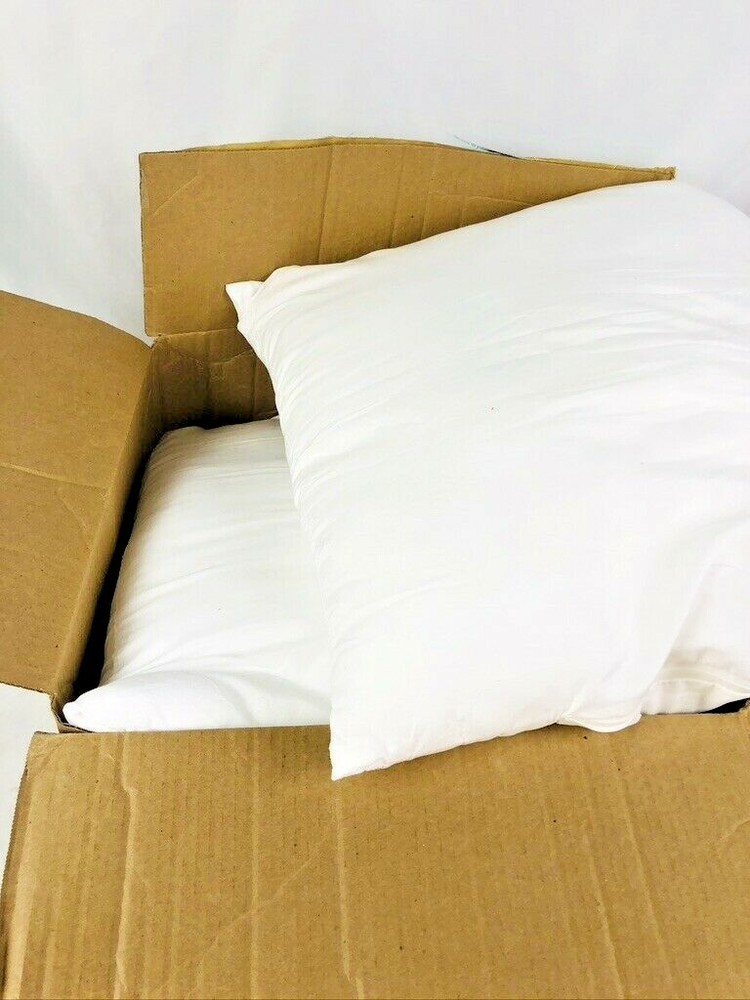 Throw Pillow Inserts, 2 Pack