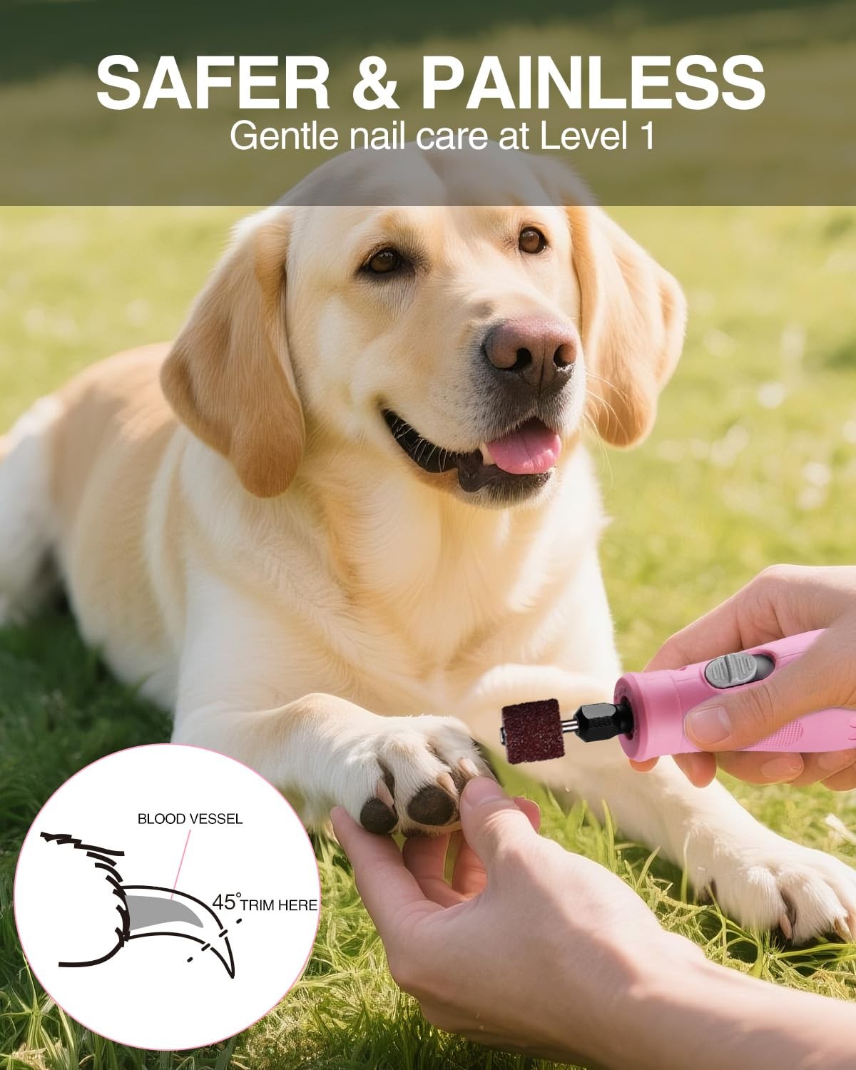 WORKPRO 6-Speed Dog Nail Grinder 70 Accessories Rotary Tool with Storage Bag New