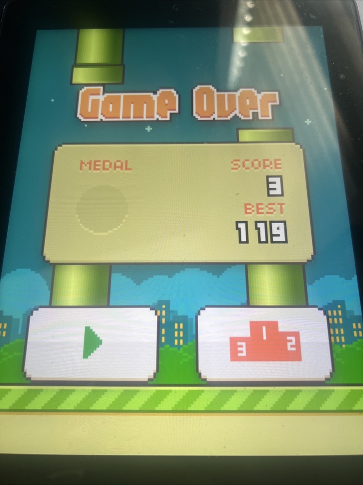 IPAD 16GB Original Flap bird