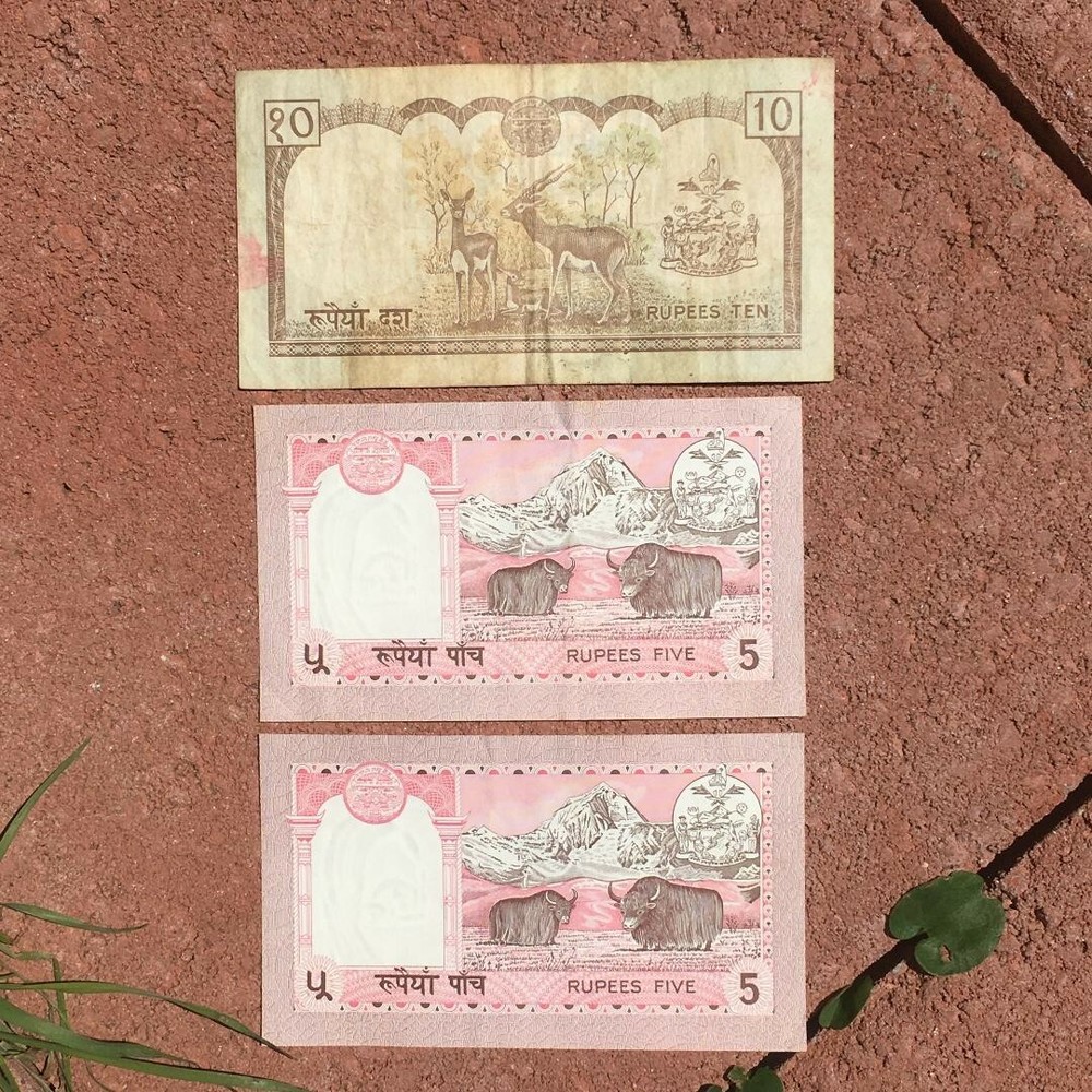 Nepal ~ 10 Rupees 