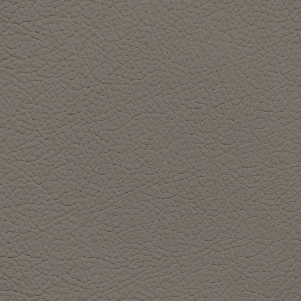 BMW Everest Gray Leather Dye