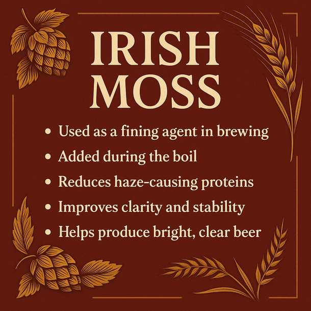 LD Carlson Irish Moss 1 oz