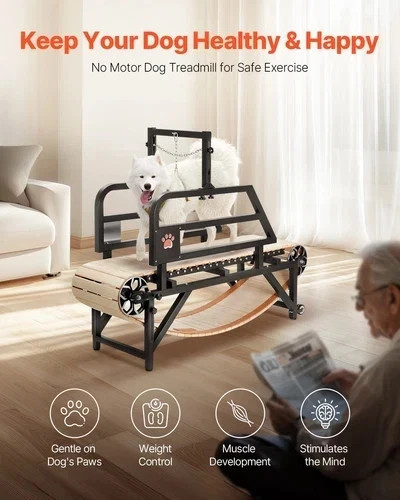 Dog Treadmill for Large Dogs, Medium Pet Slatmill for Indoor Exercise Training